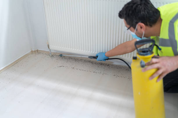 Best Best Pest Control Companies  in Cornwall On Hudson, NY